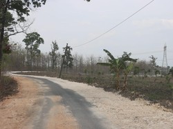 Bupati Blora Cerita 7 Tahun Perjuangkan Bangun Jalan Randublatung-Getas