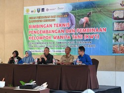 Harga Cabai Naik, Pemkab Kebumen Dorong Gerakan Kelompok Wanita Tani