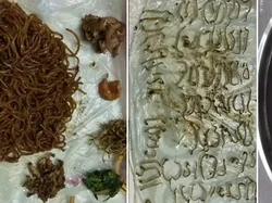 Pengunjung Ini Pisahkan 92 Tauge dari Mie Goreng Pesanannya yang Tak Sesuai Permintaan