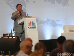 Prabowo yakin RI Jadi Lumbung Pangan Dunia dengan Manfaatkan Rawa