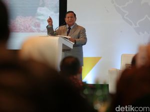 RI Lumbung Pangan Dunia, Prabowo Akan Ubah 20 Juta Hektare Rawa Jadi Sawah