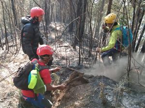 Puncak Batu Tulis di Gunung Kawi Malang Terbakar Puncak Batu Tulis di Gunung Kawi Malang Terbakar