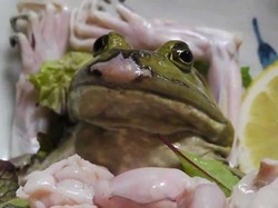 Tampilan 5 Makanan Ini Sukses Bikin Mual dan Nafsu Makan Hilang