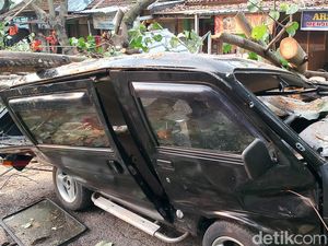 Hujan-Angin Kencang di Mataram: 9 Pohon Tumbang, 2 Mobil Tertimpa