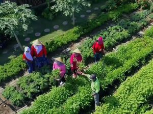 Maksimalkan Lahan Rawa, BRI Dukung Pemberdayaan Urban Farming di Surabaya