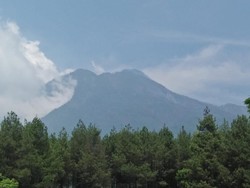 Kebakaran Gunung Kawi Meluas 46 Hektare, Penyebabnya Titik Api Sulit Dijangkau