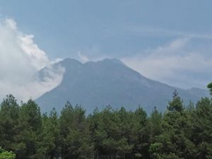 BPBD Malang Pastikan Kebakaran Gunung Kawi Padam BPBD Malang Pastikan Kebakaran Gunung Kawi Padam