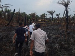 Pembakar Lahan Danau Dendam Tak Sudah Sempat Lempar Botol BBM ke Petugas