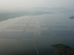 RI Mau Tambah Lagi Pembangkit Listrik Terapung di Bendungan, Potensinya 14 GW