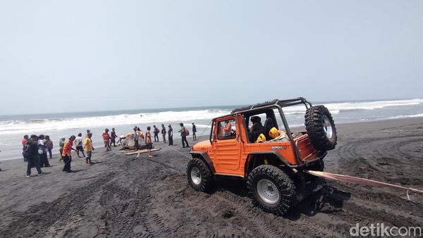 Foto-foto Momen Evakuasi Hiu Tutul Jumbo 1 Ton di Kulon Progo Pakai Jip