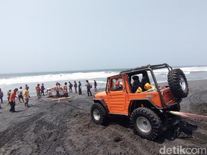 Foto-foto Momen Evakuasi Hiu Tutul Jumbo 1 Ton di Kulon Progo Pakai Jip
