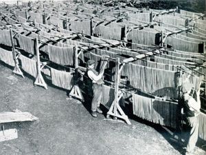 Benarkah Pasta Budaya Kuliner Italia? Ternyata Ini Sejarahnya