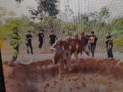 Aksi Pelonco Mahasiswa Ramai Dikritisi Kini Diusut Polisi