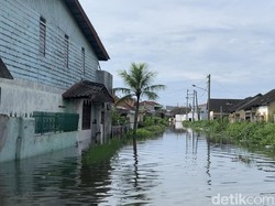 Cerita Warga Belawan Sehari-hari Terendam Banjir Rob