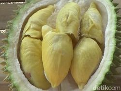 Juara Enaknya! Durian Lokal Punya Daging Tebal dan Rasa Legit Creamy