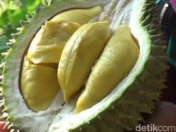 4 Makanan Beralkohol yang Halal Dikonsumsi, Apa Saja?