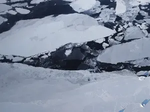 KTT Kutub di Paris Bahas Ancaman Kepunahan Kriosfer Bumi