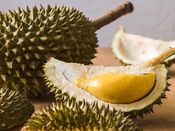 Waspada! 5 Efek Samping Ini Terjadi Jika Terlalu Banyak Makan Durian