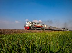Usai Kecelakaan di Bekasi Timur-Grobogan, KA Argo Bromo Anggrek Ganti Nama