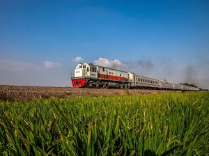 Pria di Lampung Nekat Terobos Palang KA, Tangan Kanan Putus Terlindas Kereta Pria di Lampung Nekat Terobos Palang KA, Tangan Kanan Putus Terlindas Kereta