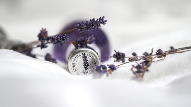 Ilustrasi Lavender. /Foto: Unsplash.com/LauraChouette. Ilustrasi Lavender. /Foto: Unsplash.com/LauraChouette.