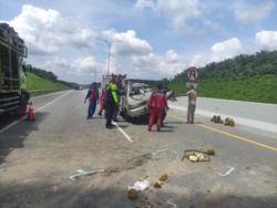 Mobil Angkut Durian Kecelakaan di Tol Pekanbaru-Dumai, Penumpang Tewas