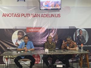 Pakar Hukum Soroti Vonis 10 Tahun Penjara Adelin Lis