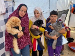 Kucing-kucing Ini Jadi Pelipur Lara Warga di Gaza