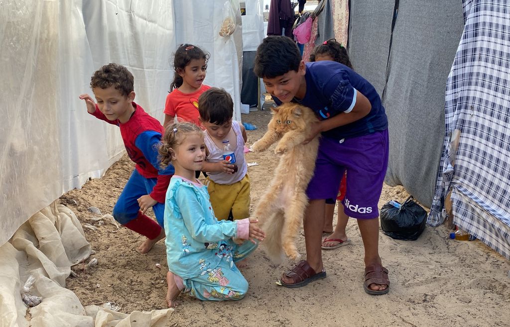 Displaced Palestinians, who fled their homes due to Israeli strikes, carry cats belonging to the Harb family who survived Israeli airstrikes, at a tent camp in Khan Younis in the southern Gaza Strip November 8, 2023. REUTERS/Arafat Barbakh     TPX IMAGES OF THE DAY