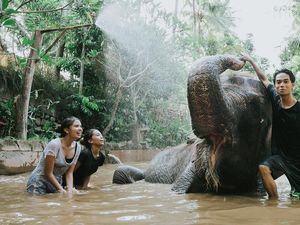 Lombok Wildlife Park: Lokasi, Daya Tarik, Aktivitas Seru, Harga Tiket Lombok Wildlife Park: Lokasi, Daya Tarik, Aktivitas Seru, Harga Tiket