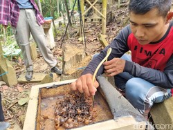 Ke Gunung Padang Nggak Cuma Trekking, Berikut Aktivitas Menariknya