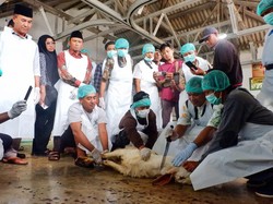 Jamin Produk Halal Konsumen, Ratusan Juleha di Banyuwangi Disertifikasi