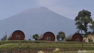 Sensasi Menginap dalam Gentong Kayu Ditemani Pemandangan Gunung Slamet