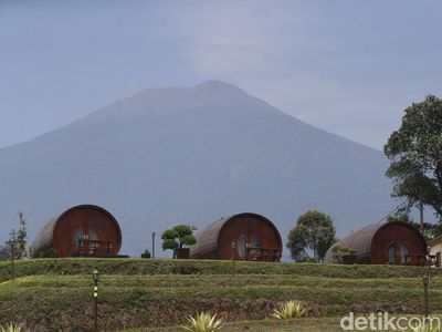 Sensasi Menginap dalam Gentong Kayu Ditemani Pemandangan Gunung Slamet