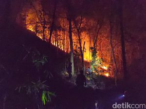 4 Hektare Kawasan Hutan Perhutani di Tulungagung Terbakar 4 Hektare Kawasan Hutan Perhutani di Tulungagung Terbakar