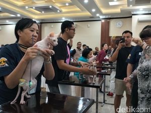 Melihat Keseruan Ratusan Kucing Ikut Internasional Cat Show di Aceh
