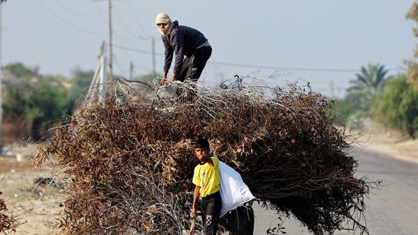 BBM Distop Israel, Warga Gaza Cari Ranting Pohon untuk Memasak