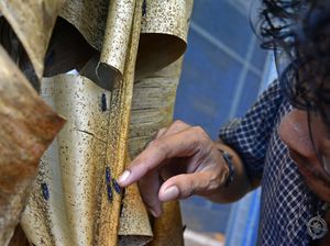 Cuan! Telur Maggot Dijual Rp 5.000/Gram