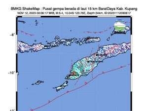 Gempa M 5,4 di Kupang 12 November 2023: Analisis BMKG dan Dampaknya Gempa M 5,4 di Kupang 12 November 2023: Analisis BMKG dan Dampaknya