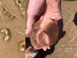 Gumpalan Bening yang Bikin Heran