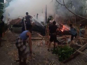 Dua Sapi di Lamongan Mati Terpanggang Saat Kandangnya Dilalap Si Jago Merah