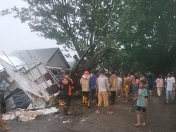 Rumah-Warung Warga di Palembang Rusak Tertimpa Pohon Tumbang