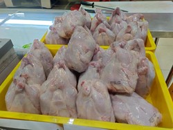 Di Transmart Full Day Sale Hari ini, Ada Matras Diskon Jadi Cuma Rp 520 Ribuan!