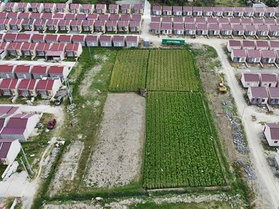 Bukan Sulap Bukan Sihir, Sawah Berubah Jadi Perumahan