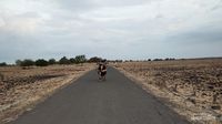 Baluran, Little Africa in Java, yang Wajib Kalian Kunjungi