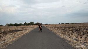 Baluran, Little Africa in Java, yang Wajib Kalian Kunjungi
