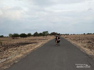 Baluran, Little Africa in Java, yang Wajib Kalian Kunjungi