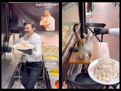 Banjir Pujian! Chef Ini Racik Nasi Ayam Enak Buat Kucing Jalanan