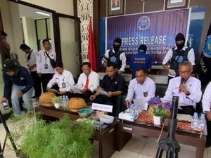 BNN Tana Toraja Bongkar Budi Daya Ganja di Rumah Warga, 1 Orang Ditangkap BNN Tana Toraja Bongkar Budi Daya Ganja di Rumah Warga, 1 Orang Ditangkap