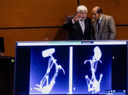 Diklaim Tubuh Asli dan Bukan Rekayasa, Begini Penampakan Jasad Alien di Meksiko